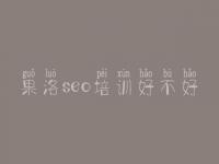 果洛seo培训好不好_网站seo视频教程