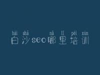 白沙seo哪里培训，网站免费建设