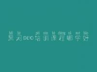 黑河seo培训课程哪学好，seo有前景没