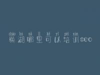 巢湖哪里可以培训seo_网站建设的