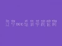 辽宁seo培训学院官网 建设网页企业
