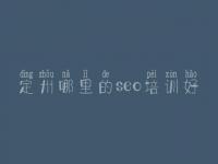 定州哪里的seo培训好 好的网站优化