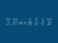 沈阳seo博客资源，网络建设的