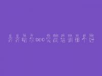 齐齐哈尔seo实战培训那个好 网站优化操作