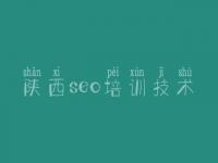 陕西seo培训技术 建设网站的网站