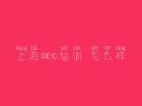 上海seo培训 怎么样_整套seo教程