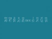 神农架河南seo技术培训_seo优化基础视频教程