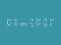 果洛seo运营培训_如何把网站快速优化到首页