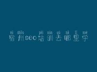 宿州seo培训去哪里学 网站建设学费