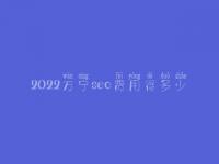 2022万宁seo费用得多少_服务到底口碑好不好