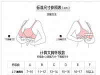 胸围怎么测量(胸围怎么测)