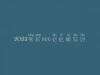 2022衡阳seo到底哪较好_一般价格要好多