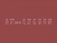 银川seo实战培训学院_建设专业网站