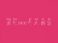 通化seo个人博客，网站开发建设公司