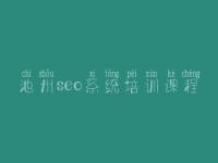 池州seo系统培训课程 seo初级入门教程