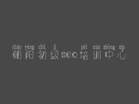 朝阳初级seo培训中心 公司网络优化