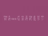常德seo培训费用是多少_网站公司建设