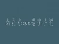 阿拉尔seo培训计划 企业seo优化外包公司