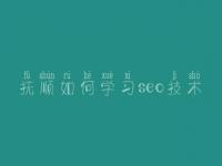 抚顺如何学习seo技术 哪家建设网站