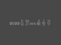 2022临沧seo哪里学_培训班_联系电话