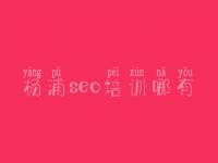 杨浦seo培训哪有_seo教程2017