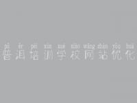 普洱培训学校网站优化，网站优化按天收费
