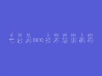 七台河seo技术培训机构_排名seo优化公司