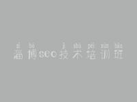 淄博seo技术培训班，建设公司网页