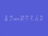 嘉兴seo用什么技术_网站seo顾问