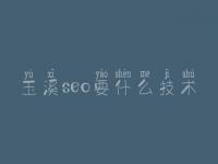 玉溪seo要什么技术 seo优化网站推广