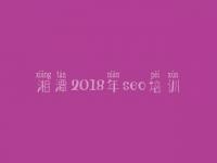 湘潭2018年seo培训_免费网站排名优化软件