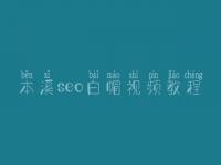 本溪seo白帽视频教程_顶级白帽实战