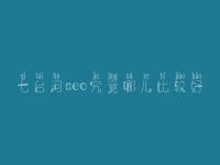 七台河seo究竟哪儿比较好_通常价格要多少
