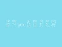 南宁seo培训怎么样_如何网站优化排名