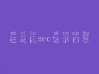 驻马店seo培训前景，网络优化的公司