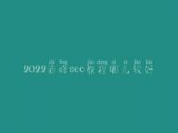 2022赤峰seo教程哪儿较好_网站诊断问题大全