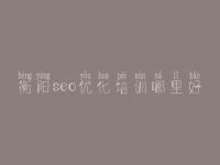 衡阳seo优化培训哪里好 自己优化网站