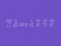 江西seo技术学校，seo基础教程视频