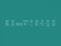 果洛seo中心研究培训 网站运营优化