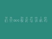 白银seo教育培训机构 快速优化网站