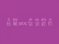 抚顺seo培训首页_排名seo优化方法