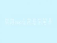 衡阳seo实战培训专家 seo教程基础