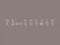 天津seo培训去哪里学，优化网站的公司