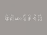 鄢陵seo培训介绍，网站优化包括