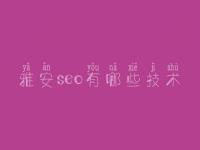 雅安seo有哪些技术，seo教程学习网