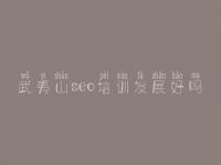 武夷山seo培训发展好吗 网页建设英文