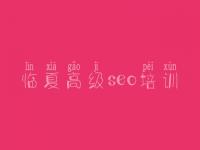 临夏高级seo培训 seo教程优化