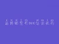 淄博哪里有seo培训机构 网络优化招聘