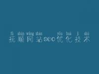 抚顺网站seo优化技术_seo首页优化