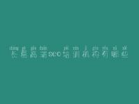 长葛高端seo培训机构有哪些，网站建设网